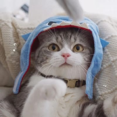 ثنا خان avatar