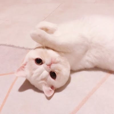 گلزار خان avatar