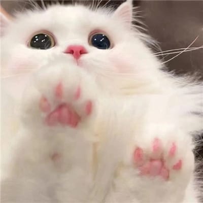 عمران بٹ avatar